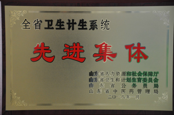 全省衛(wèi)生計生系統(tǒng)先進集體.jpg